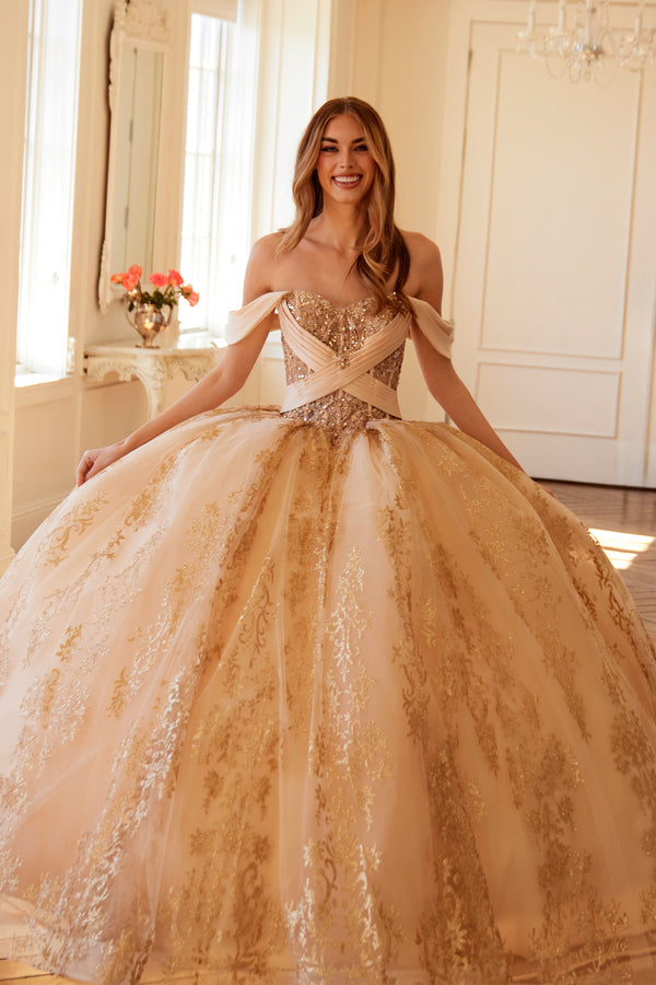 Juliet JT1488H Long Ball Gown Glitter Print Quinceanera Dress