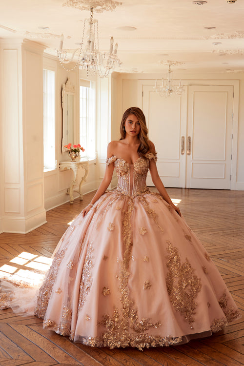 Rose Gold Quinceanera Sweet 16 Dress Stores Near Me Puffy
