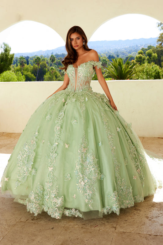 sage green sweet 16 dress Dreamyannie UK Modern Ball Gown Strapless Sleeveless Lace Appliques 3D  Flower Beaded Sage Green Tulle Quinceanera Dress For Sweet 16 main image 0