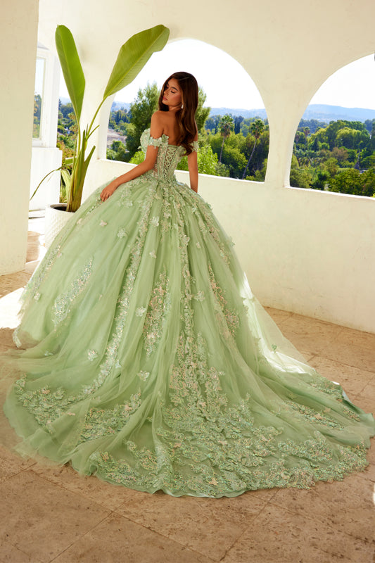 Juliet JT1485J Long Quinceanera Dress Sage Green / 14
