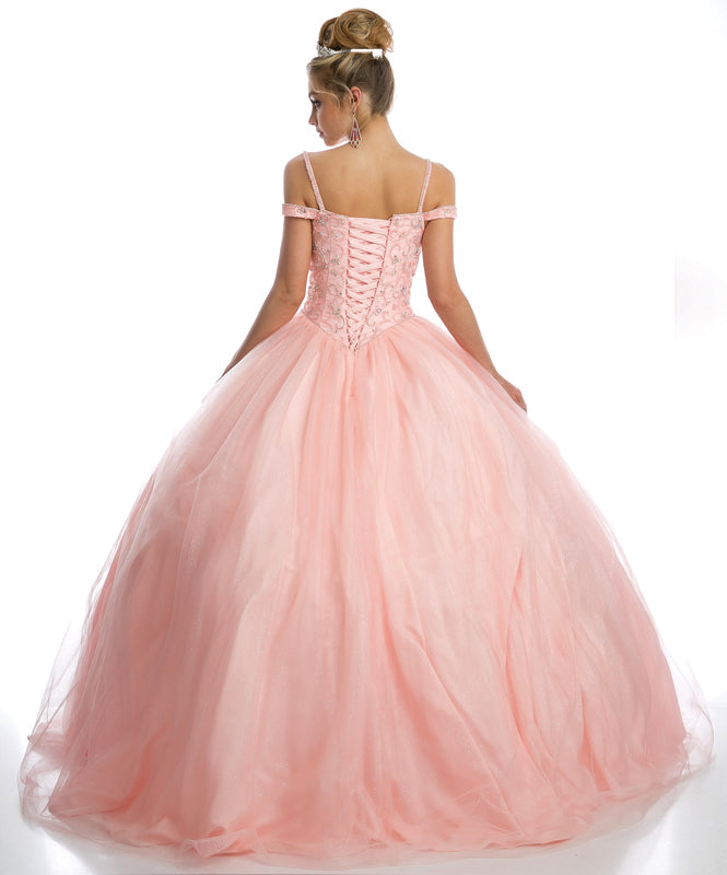 Quinceniera Dresses Long Beaded Ball Gown Quinceanera Dress Juliet JT1426 Blush