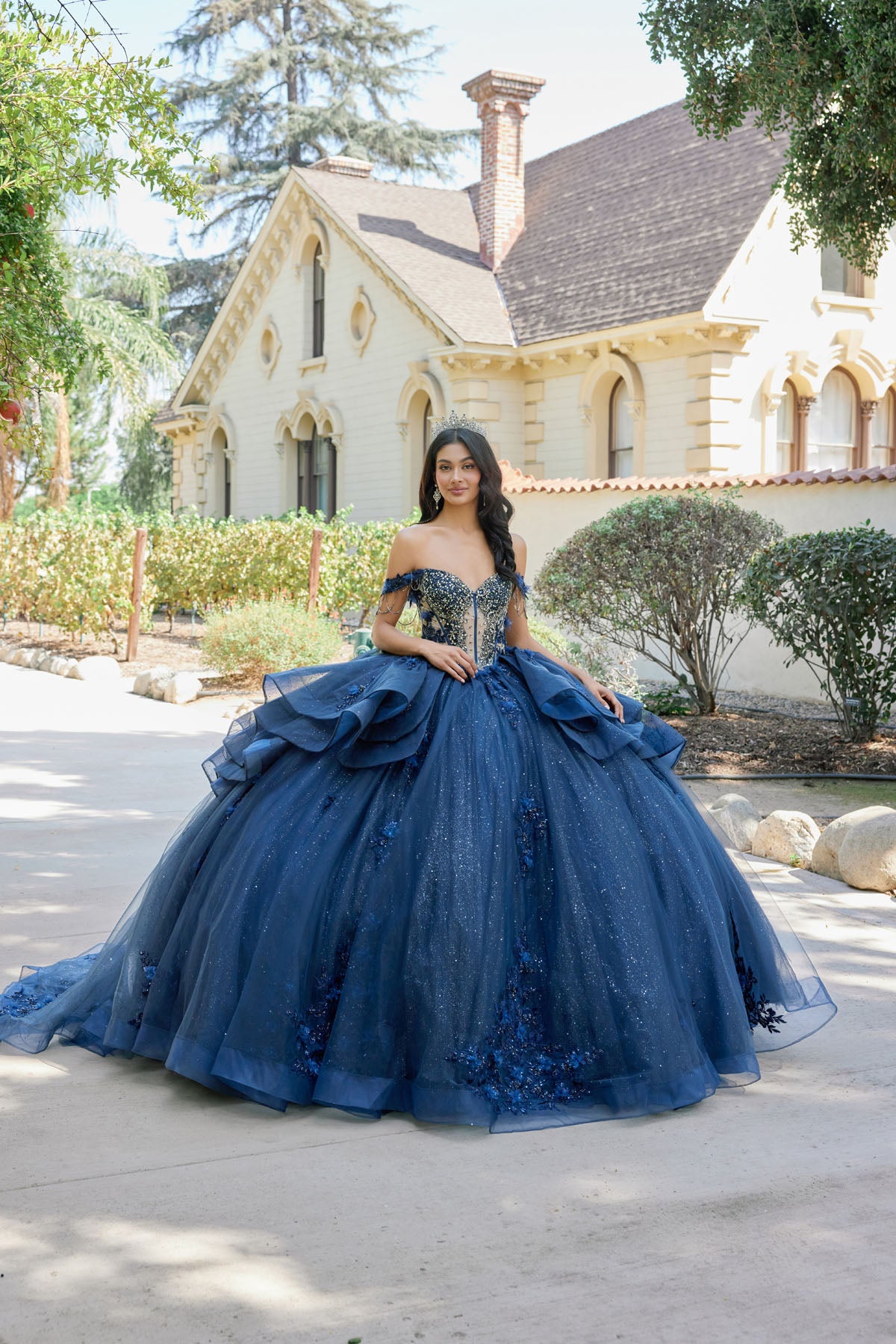 Quinceniera Dresses Long Floral Ball Gown Quinceniera Dress Juliet JT1501J Navy Blue