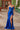 Prom Dresses Long Formal Fitted Sequin Applique Prom Dress Royal Blue