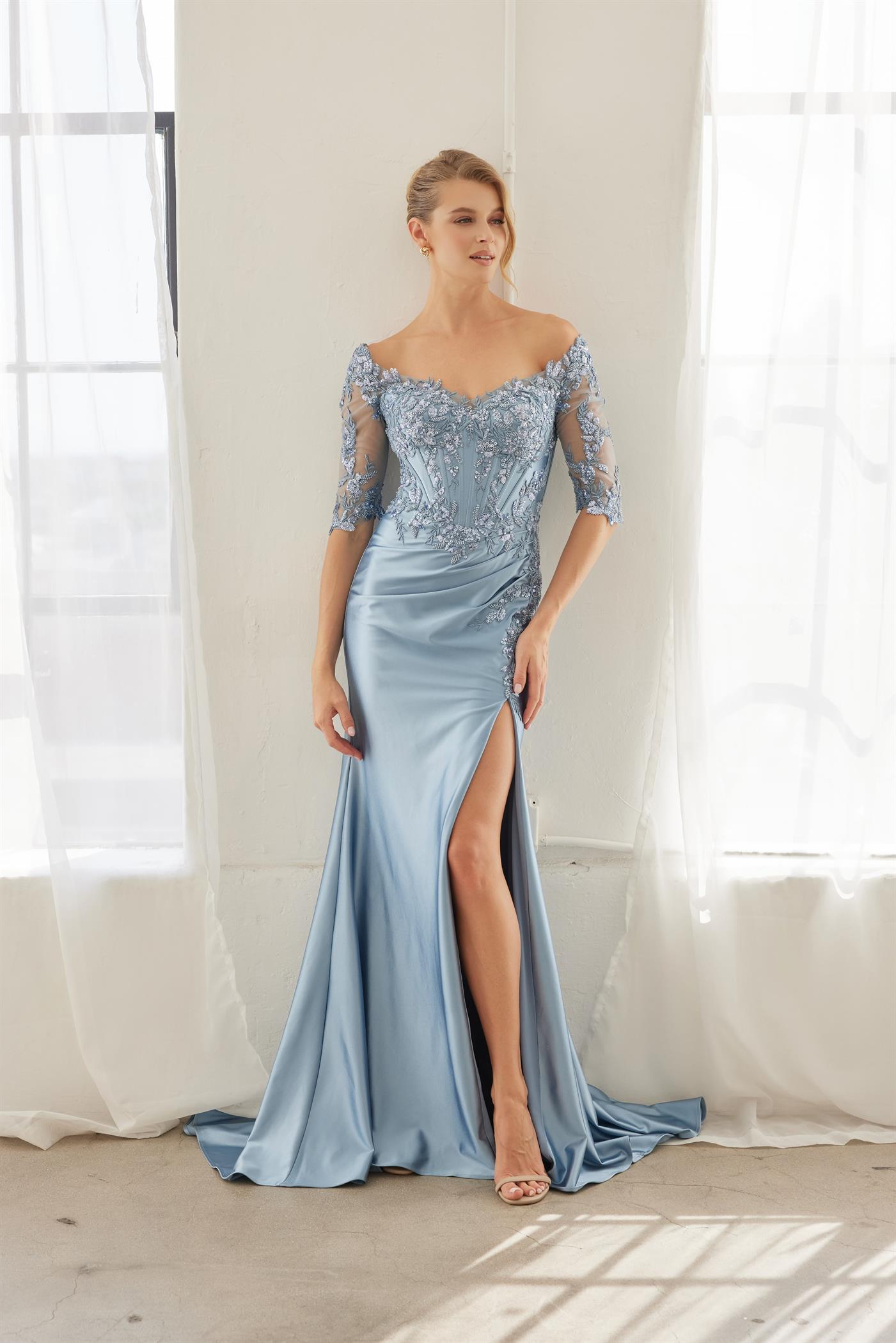 Plus Size Dresses Long Formal Lace Applique Mother of the Bride Dress Blue