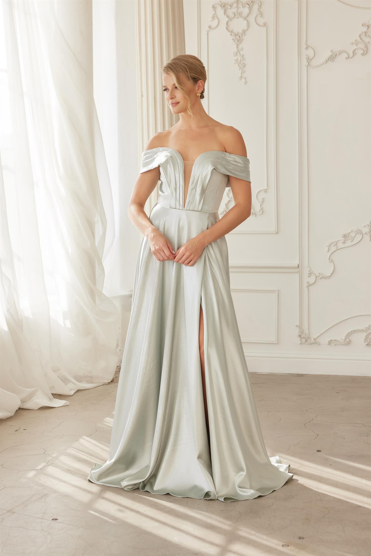 Plus Size Dresses Long Formal A Line Prom Evening Dress Sage Green