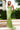 Prom Dresses Long Prom Formal Beaded Lace Applique Dress Sage