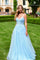Prom Dresses Long Formal Floral Applique Cocrset Prom Dress Light Blue