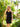 Cocktail Dresses Sleeveless Fitted Prom Short Dress BLACK