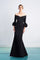 Formal Dresses Long Pleated Formal Fitted Evening Dress Black