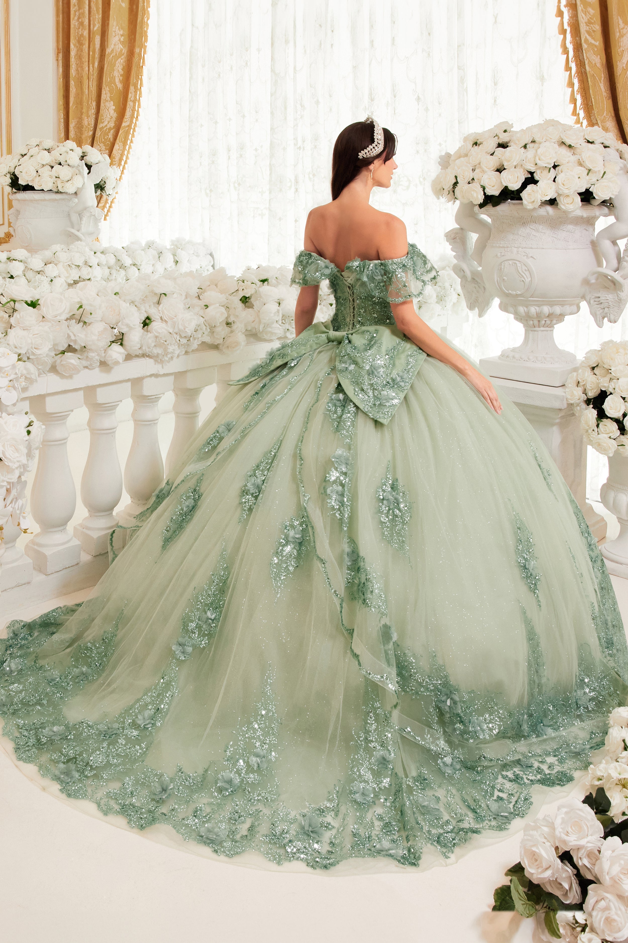 Quinceanera Dresses Long Ball Gown Quinceanera Dresses Sage