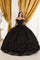 Quinceniera Dresses Ball Gown Long Glitter Floral Quinceanera Dress Black