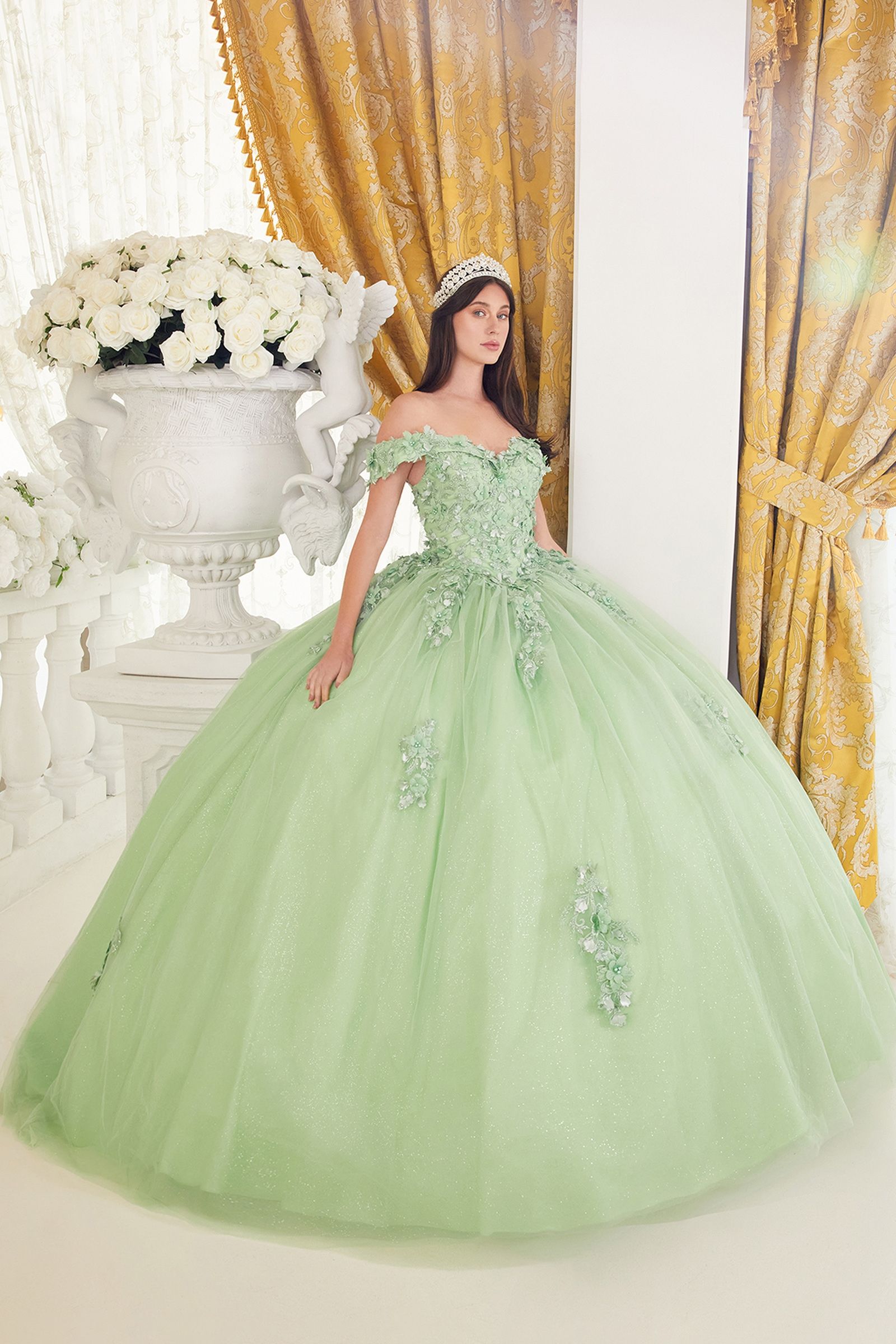 Quinceniera Dresses Long Off Shoulder Quinceanera Tulle Ball Gown Greenery