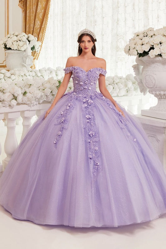 Quinceniera Dresses Long Ball 3D Floral Applique Quinceanera Dress Lavender