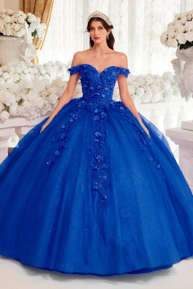 Quinceniera Dresses Long Ball 3D Floral Applique Quinceanera Dress Royal