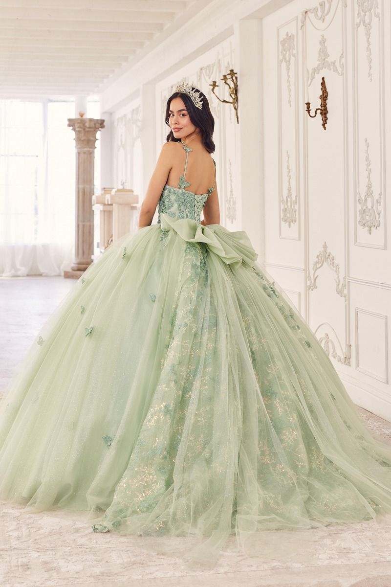 Quinceniera Dresses Long Ball Gown 3D Applique Sweet 16 Quinceanera Dress Sage