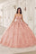 Quinceniera Dresses Lace Applique Quinceanera Long Ball Gown Blush
