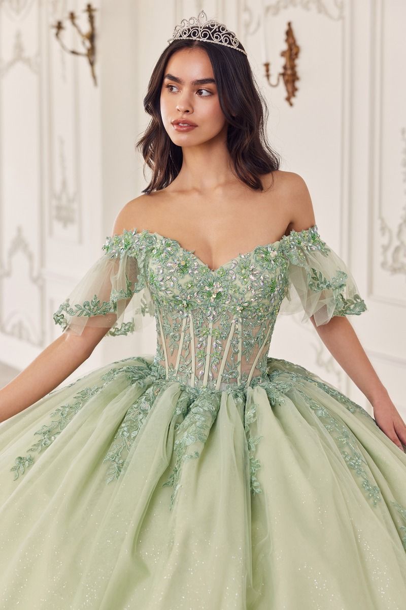 LaDivine 15725 Long Quinceanera Dress Applique Ball Gown