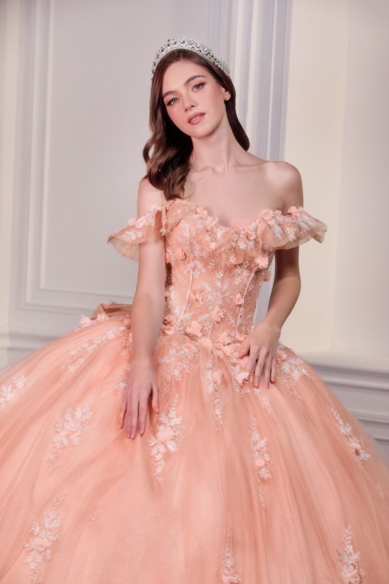 Quinceniera Dresses Long Ball Gown 3D Floral Allique Beaed Corset Quinceanera Dress Blush
