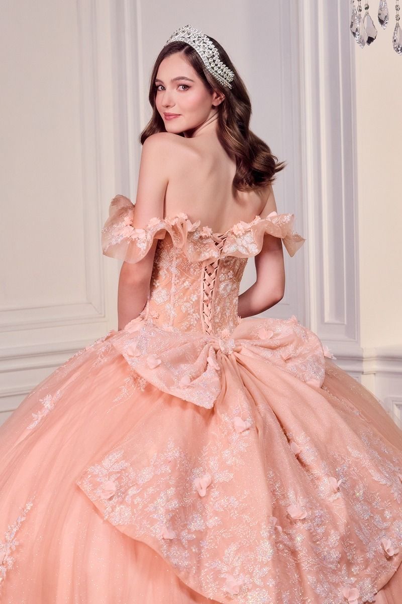 Quinceniera Dresses Long Ball Gown 3D Floral Allique Beaed Corset Quinceanera Dress Blush
