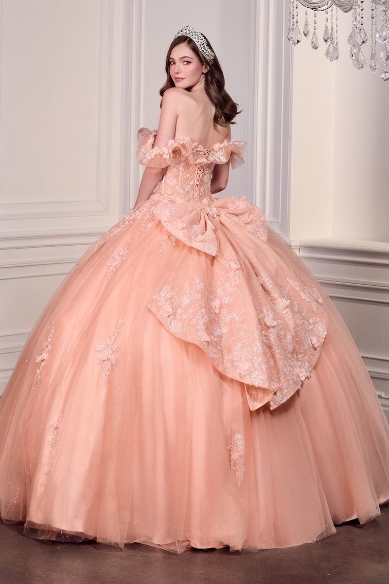 Quinceniera Dresses Long Ball Gown 3D Floral Allique Beaed Corset Quinceanera Dress Blush