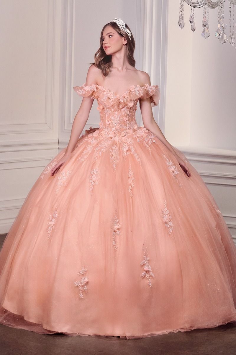 Quinceniera Dresses Long Ball Gown 3D Floral Allique Beaed Corset Quinceanera Dress Blush