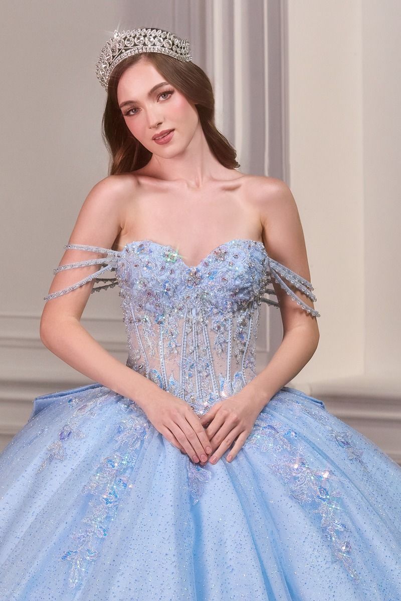 Quinceniera Dress Long Corset Floral Ball Gown Quinceanera Dress LT Blue