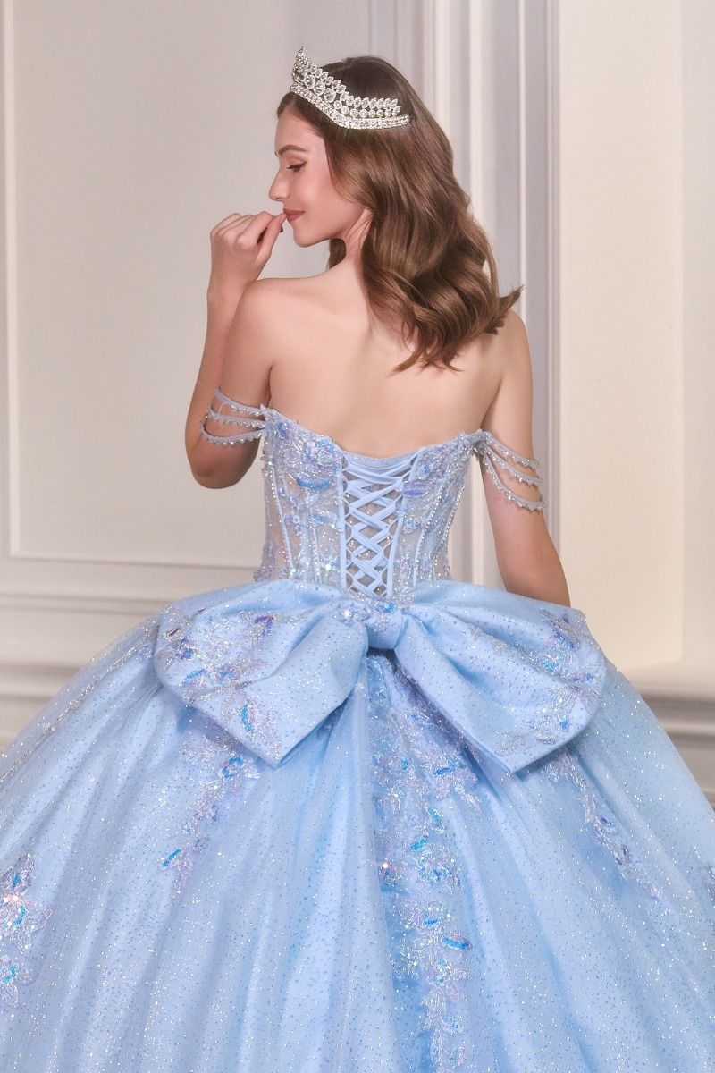 Quinceniera Dress Long Corset Floral Ball Gown Quinceanera Dress LT Blue