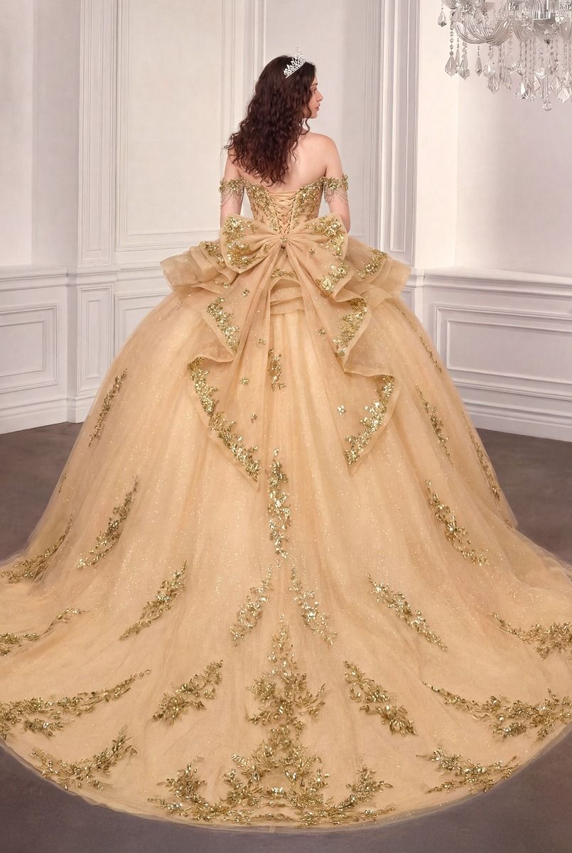 Off-the-Shoulder Floor-Length Tulle Occasion Ball Gown LaDivine 15746