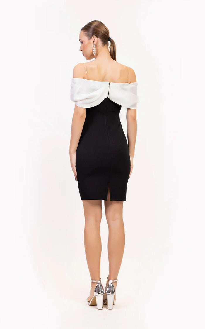Cocktail Dresses Homecoming Short Fitted Cocktail Dress Black/White