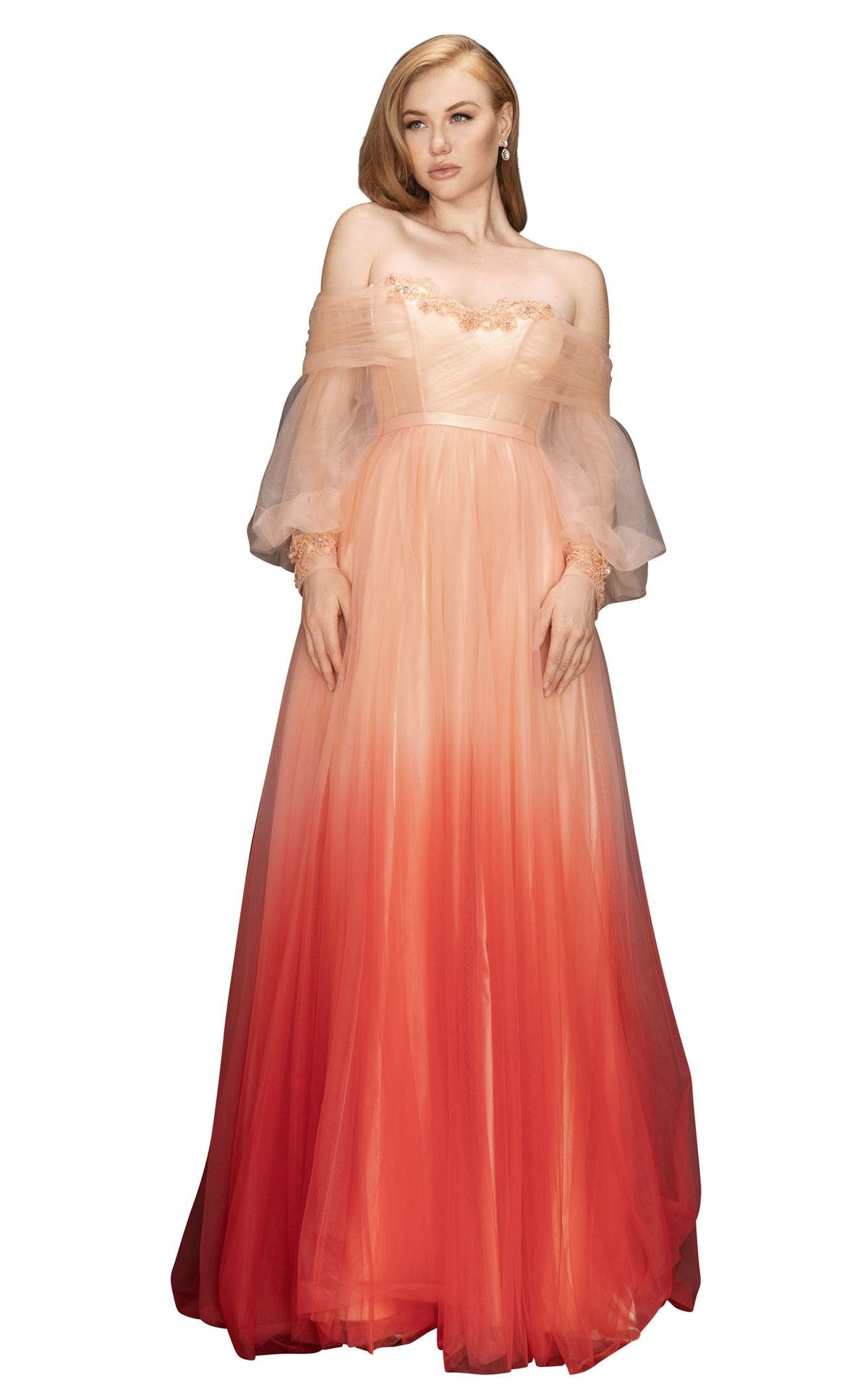 Terani Couture Strapless Long Prom Dress 2011P1075 - The Dress Outlet