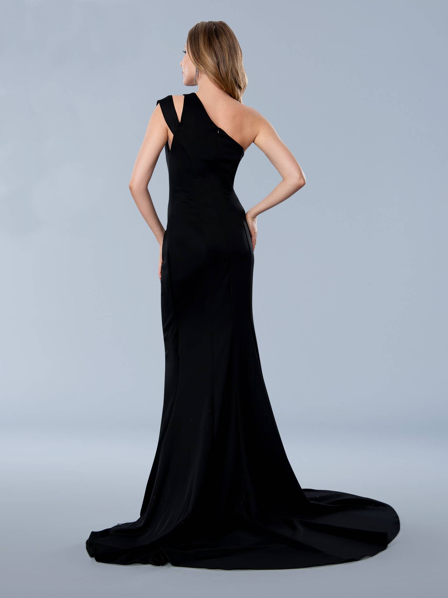 Prom Dresses Fitted Long Formal Evening Prom Dress Black