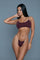 Swimwear 2276 Sloane Swimsuit Maroon