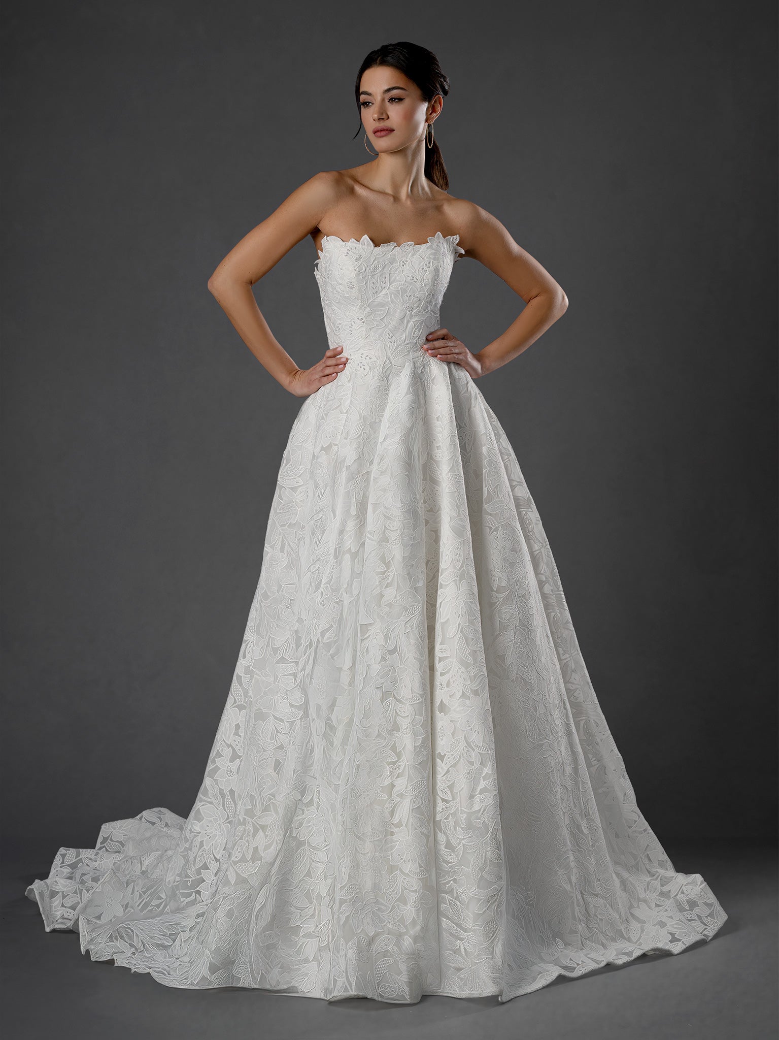 Wedding Dresses Long Lace Applique Wedding Dress - A Line Bridal Gown - Stella Couture 25560 Off White-Lace-25560-Train