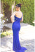 Prom Dresses Long Fitted Formal Prom Dress Royal