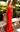 Prom Dresses Long Formal Fitted Prom Dress Red