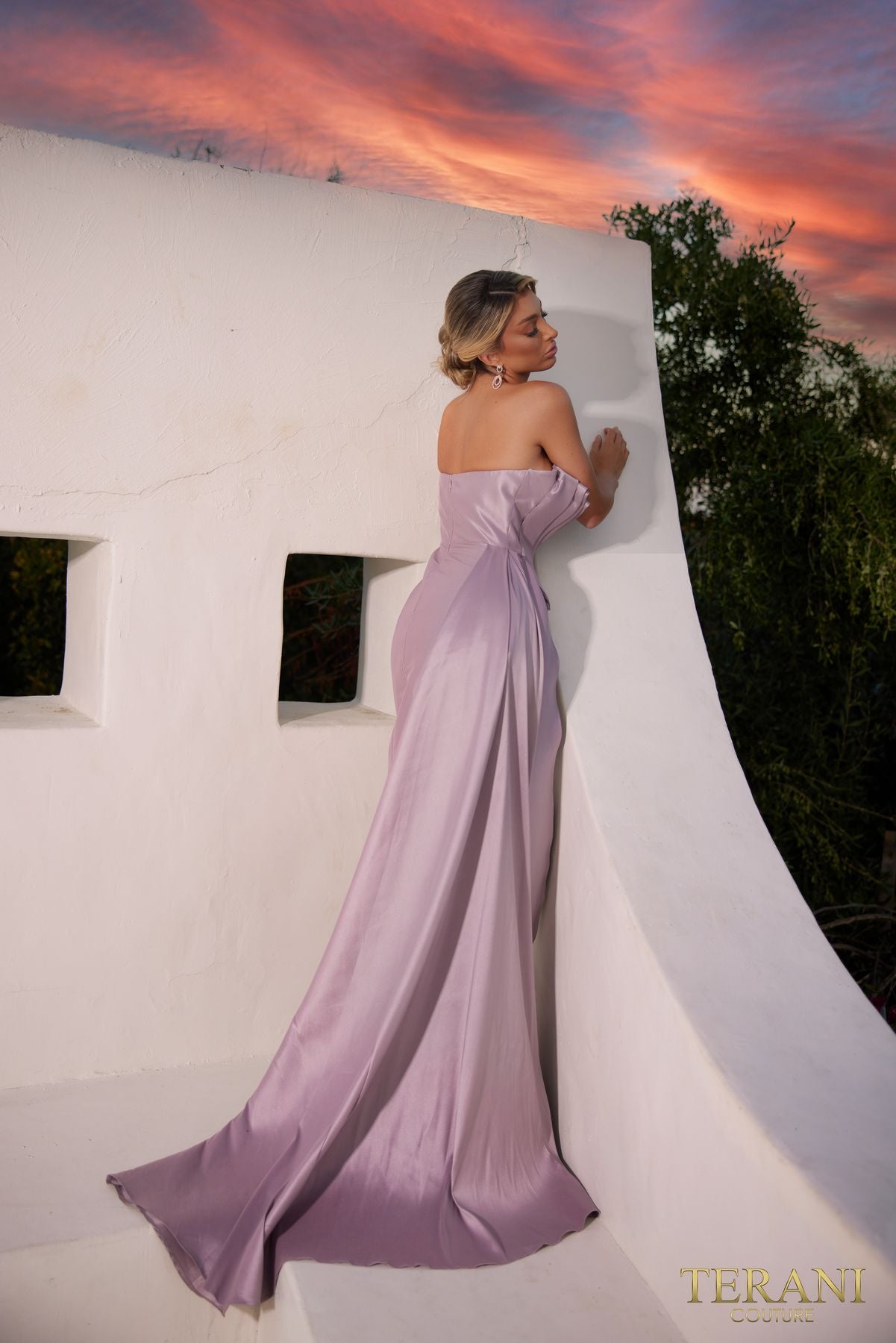 Terani Couture 241E2504 Prom Formal Evening Long Dress