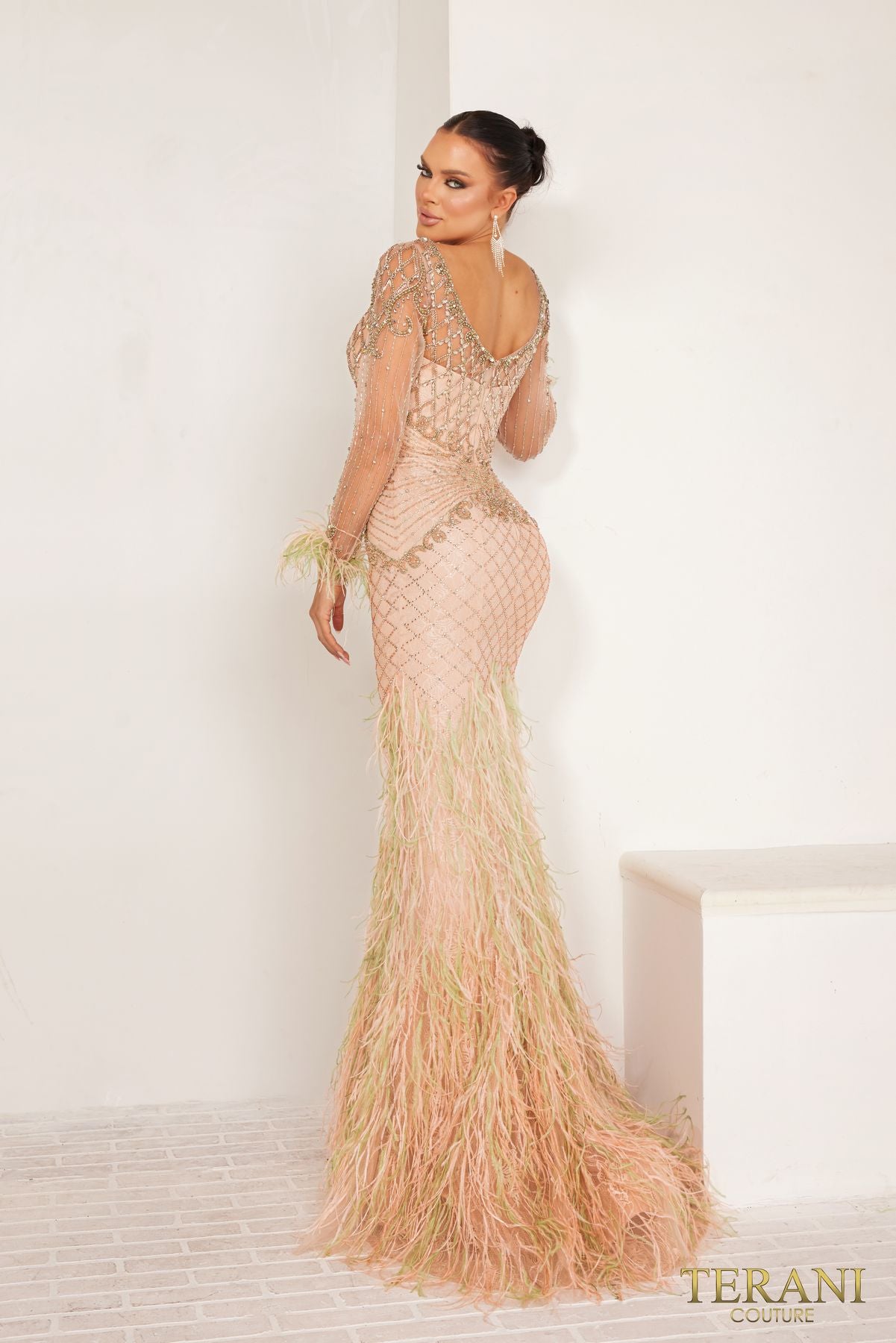 Terani Couture 241GL2631 Evening Long Formal Dress