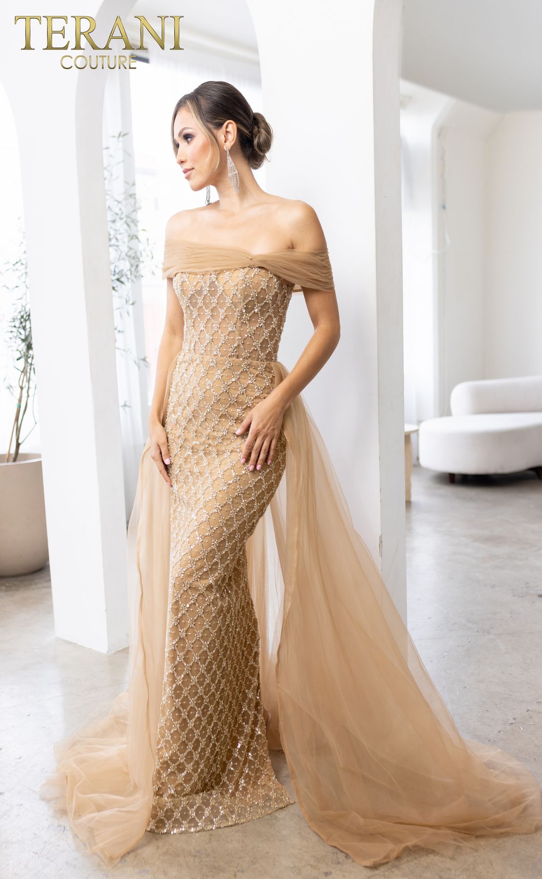 Terani Couture 241M2706 Overskirt Long Formal Mother of the Bride Dress