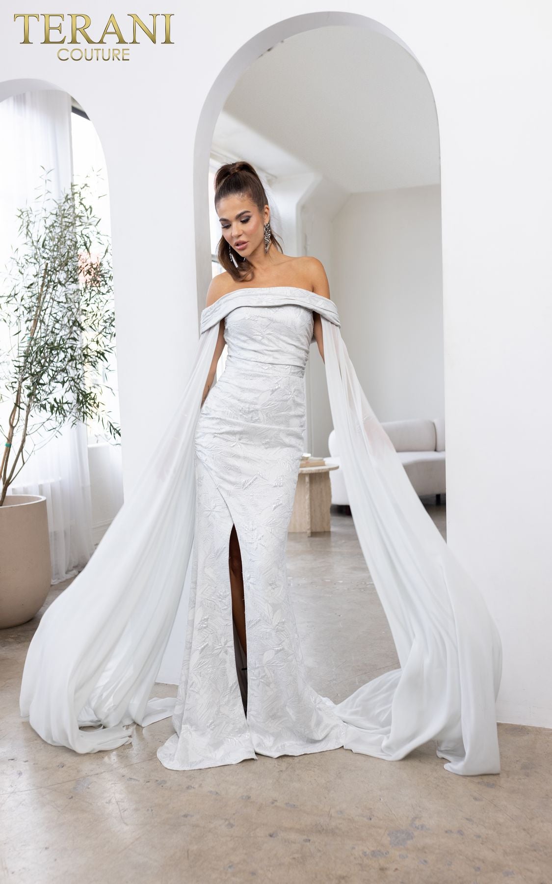 Terani Couture 241M2721 Cape Evening Long Mother of the Bride Dress