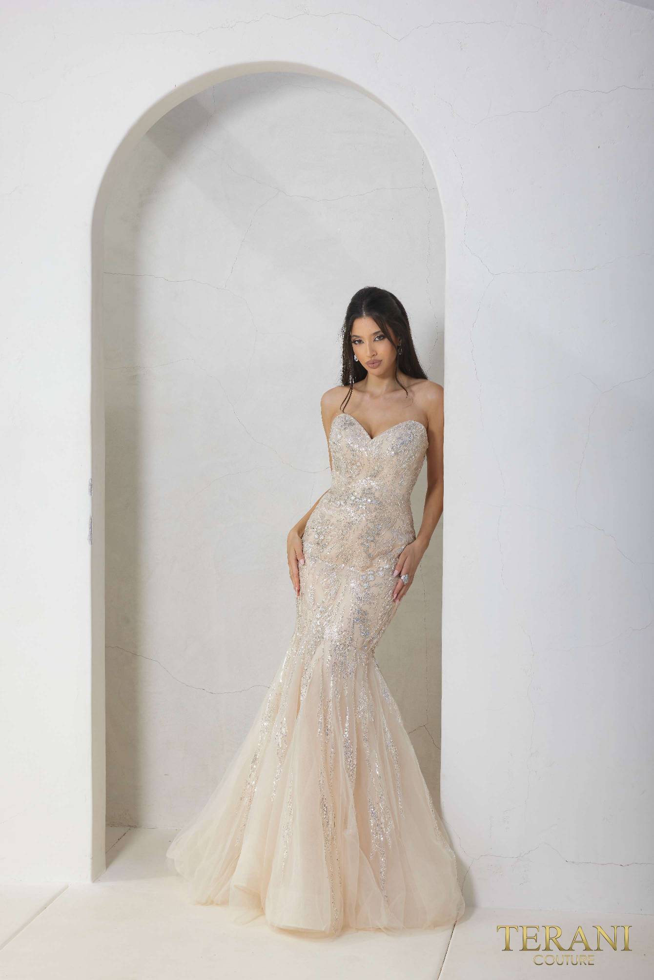 Terani Couture 241P2219 Fitted Formal Beaded Long Prom Dress