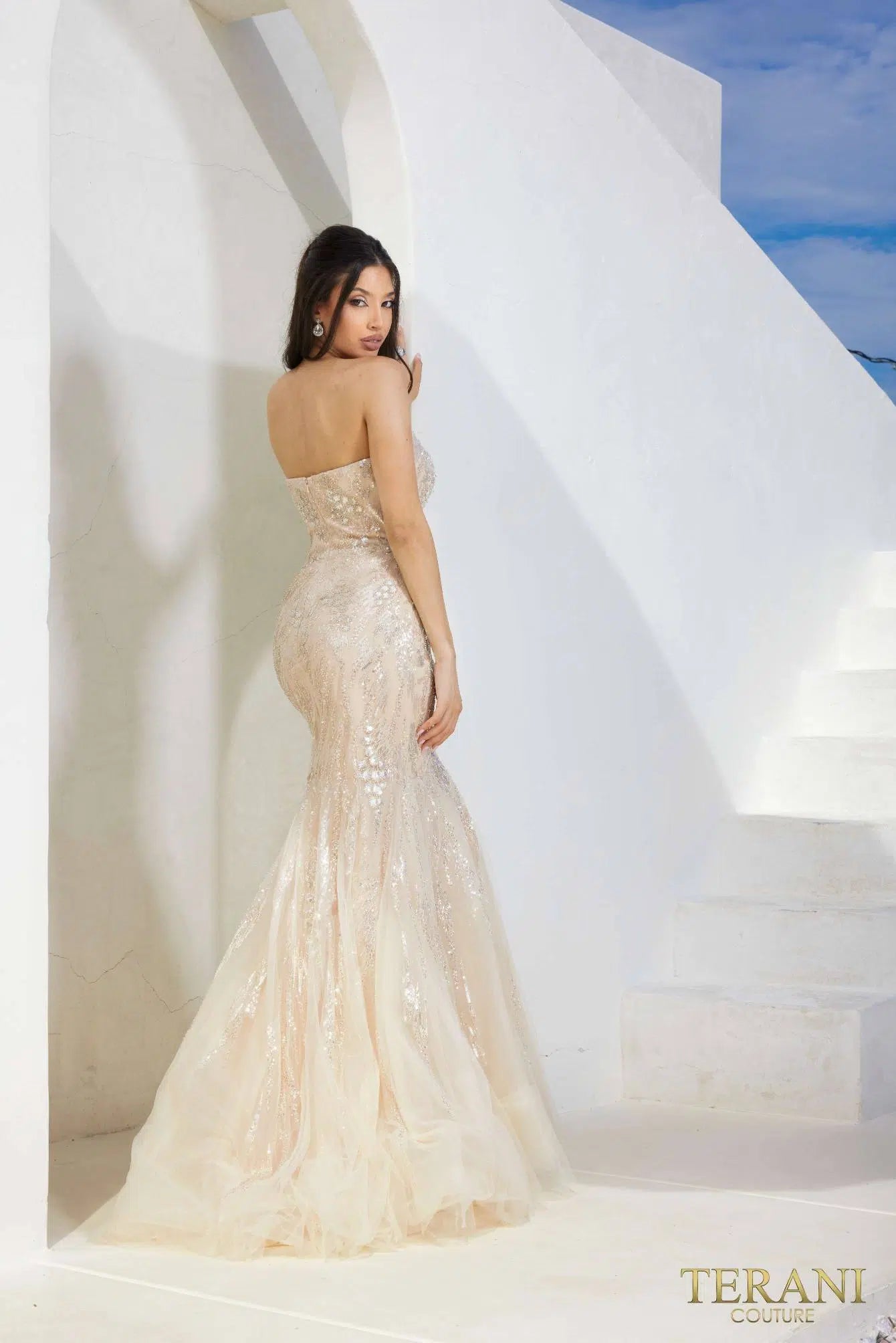 Terani Couture 241P2219 Fitted Formal Beaded Long Prom Dress