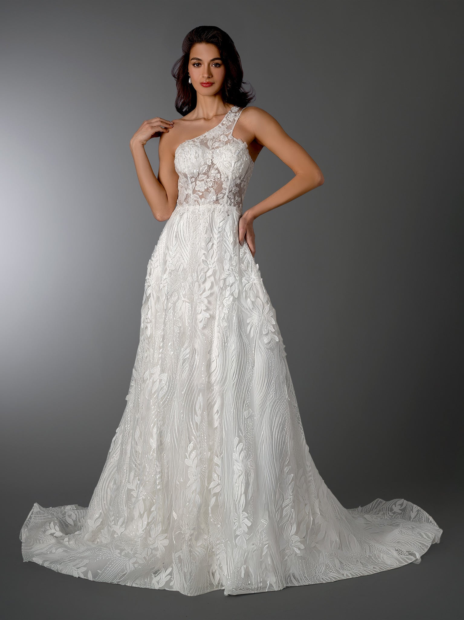 Wedding Dresses Long Bridal Lace Applique Wedding A Line Dress Stella Couture 26501 Off White