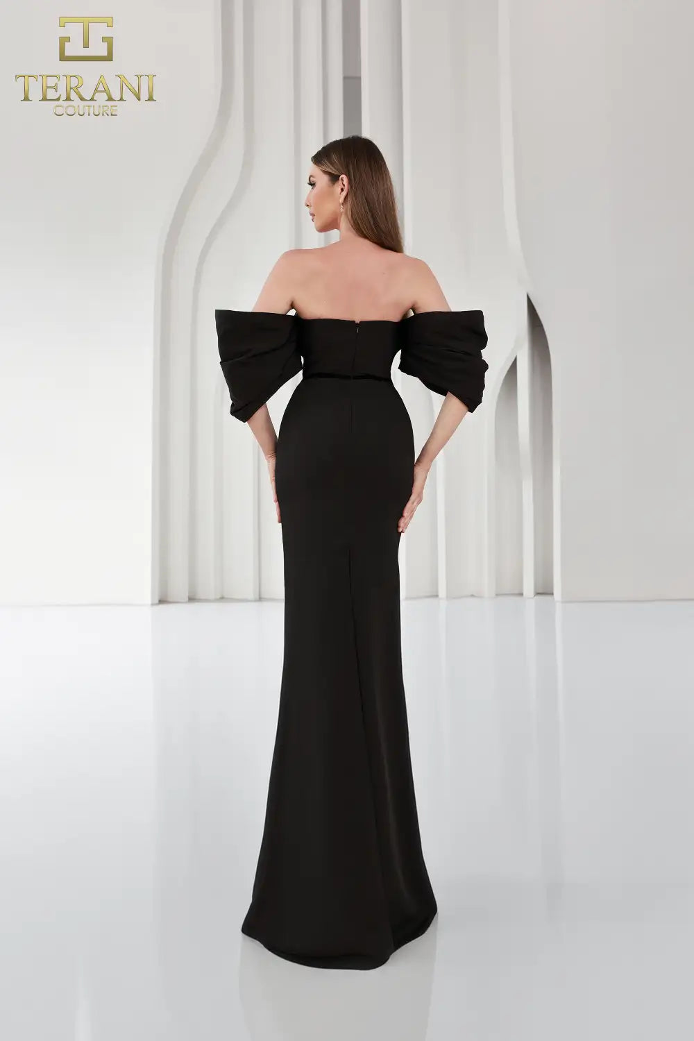 Terani Couture 251E4204 Long Fitted Formal Evening Dress