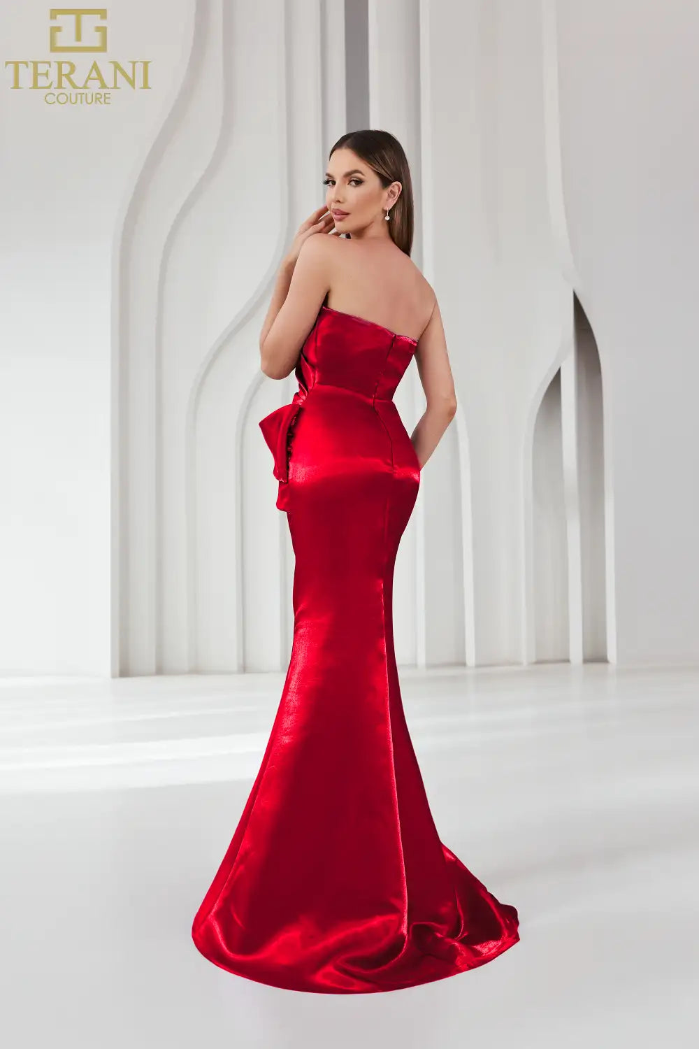 Terani Couture 251E4231 Long Formal Evening Prom Dress