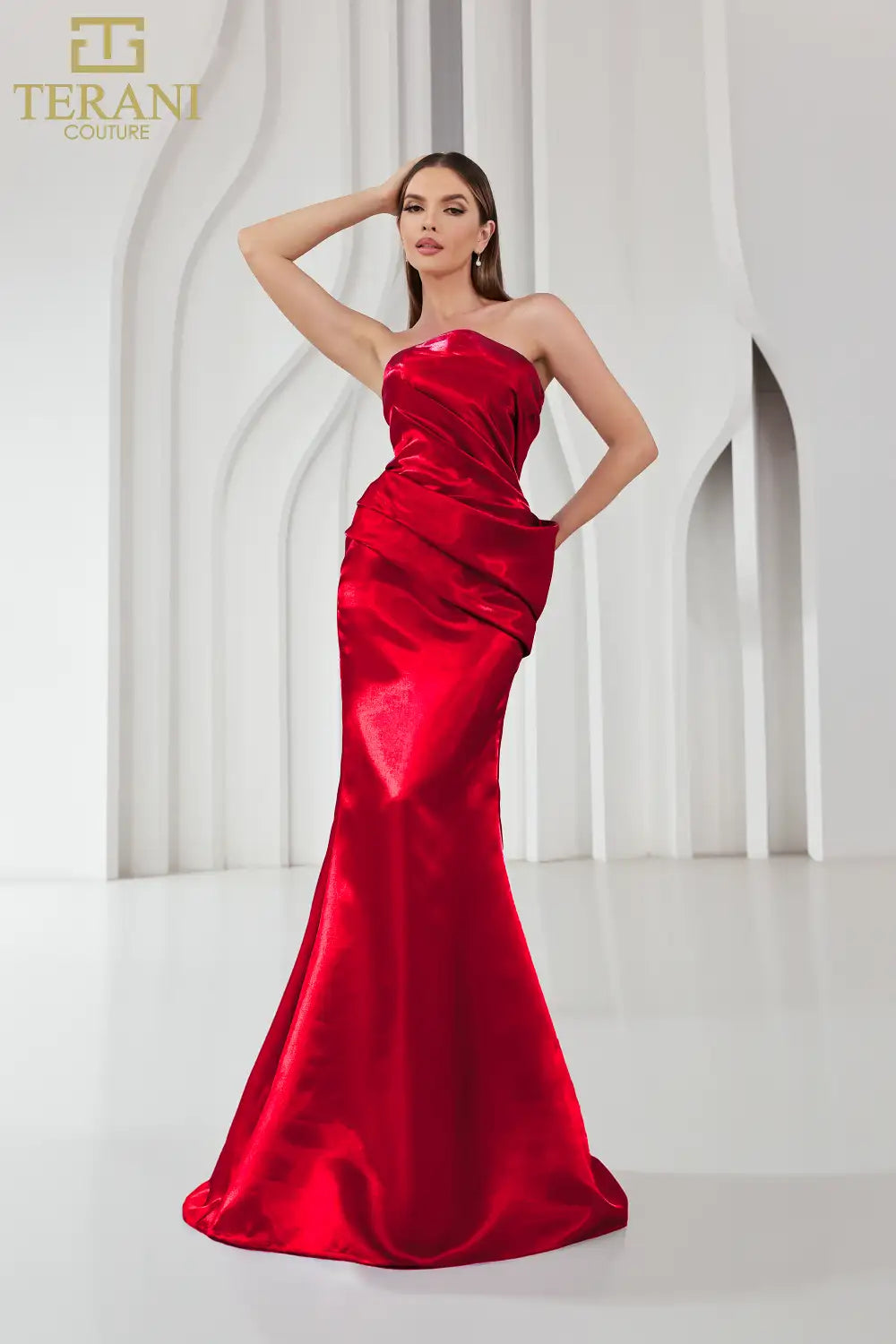 Terani Couture 251E4231 Long Formal Evening Prom Dress