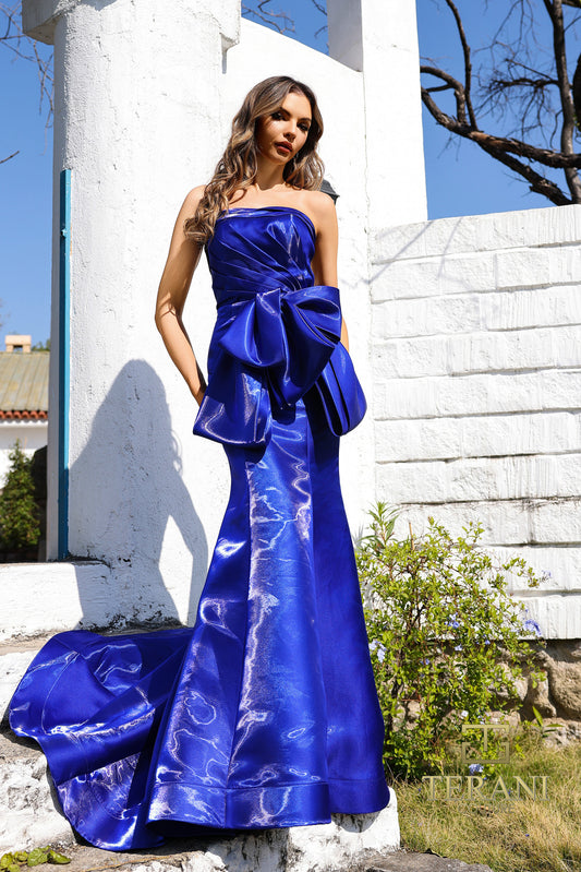 Formal Dresses Fitted Long Formal Evening Dress Sapphire