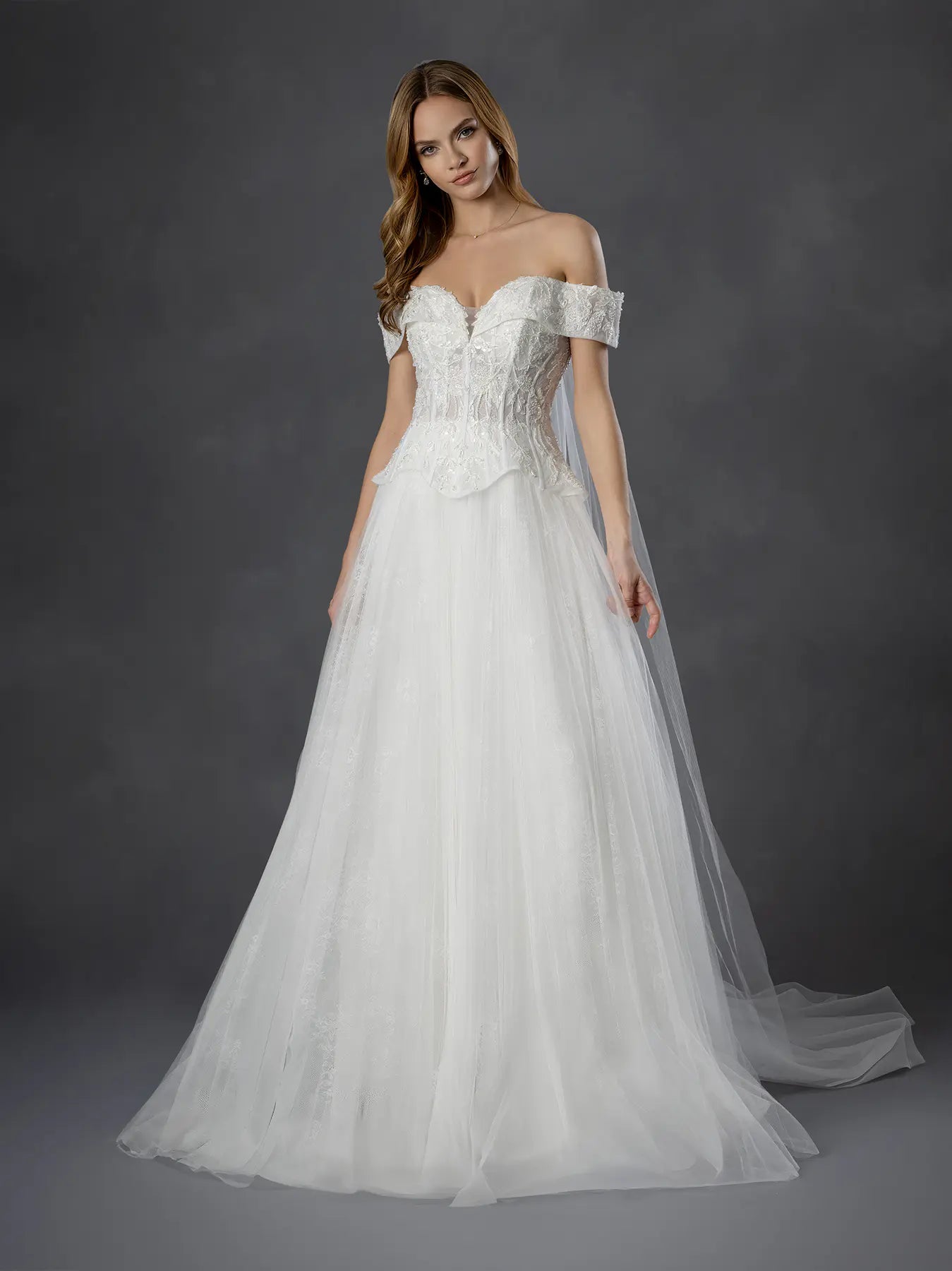 Off White Off-the-Shoulder Floor-Length Tulle Wedding Dress A-Line Gown