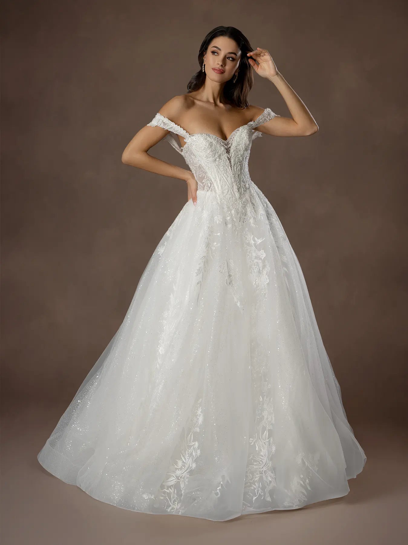 Off White Off-the-Shoulder Floor-Length Tulle Bridal Ball Gown with Glitter Embroidery