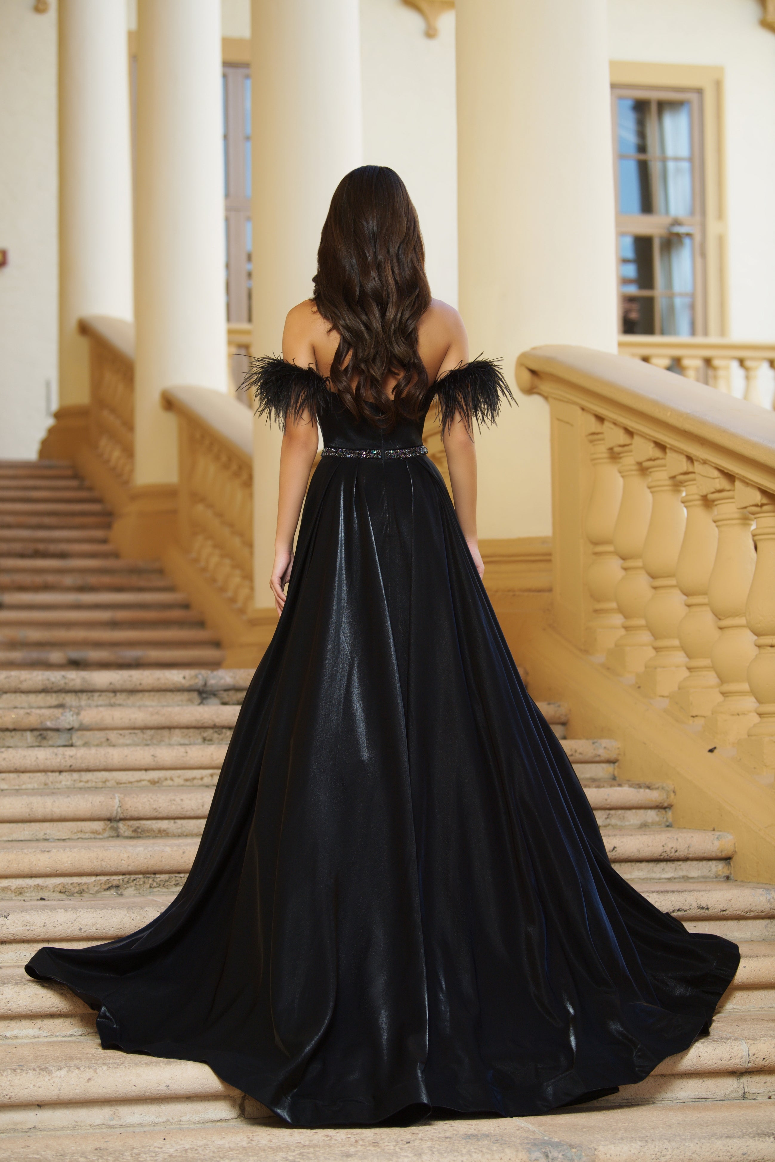 Prom Dresses Feather Formal Prom Long Ball Gown Black