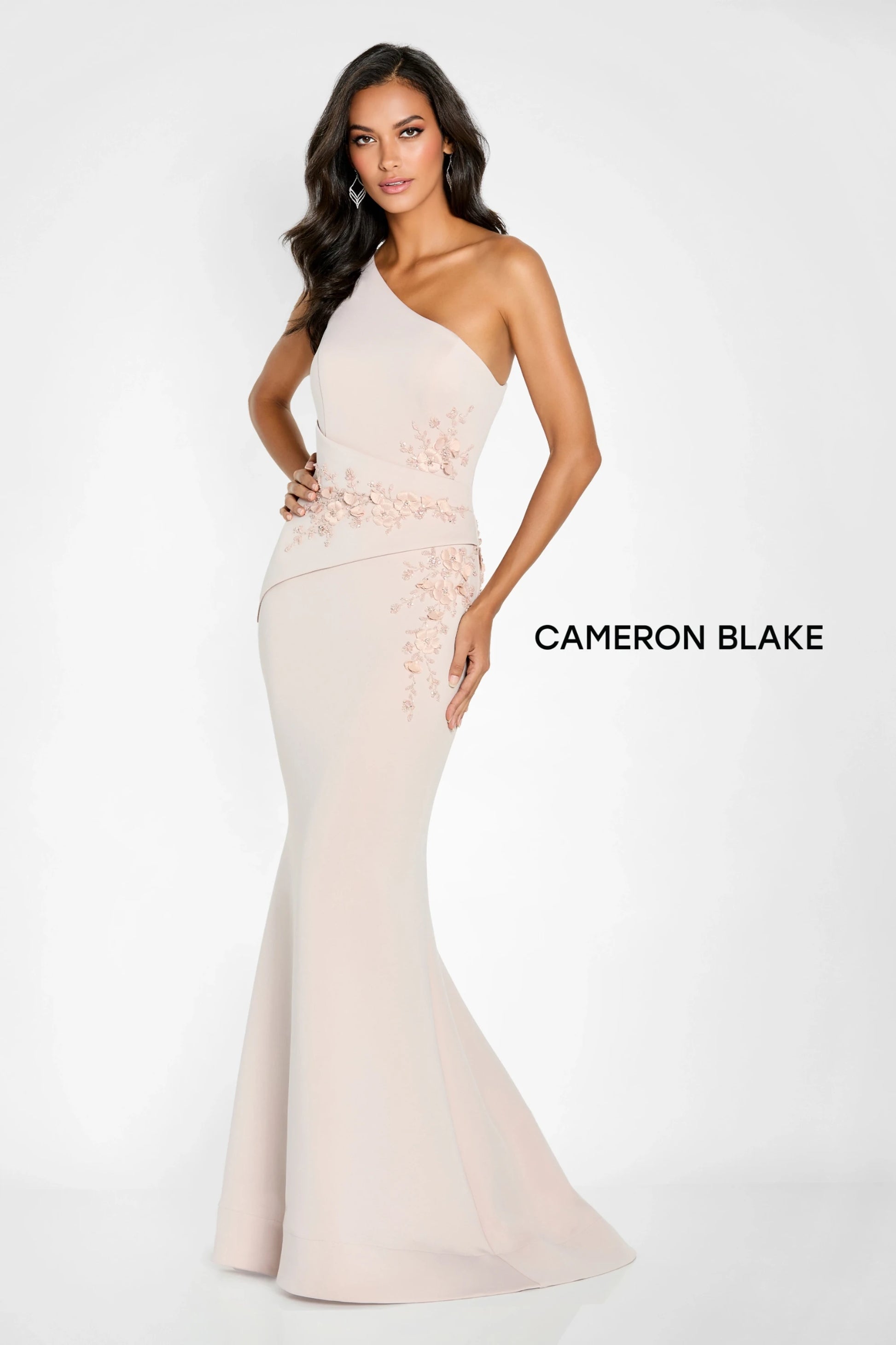 Cameron Blake CB142 Long Beaded Floral Applique Formal Dress